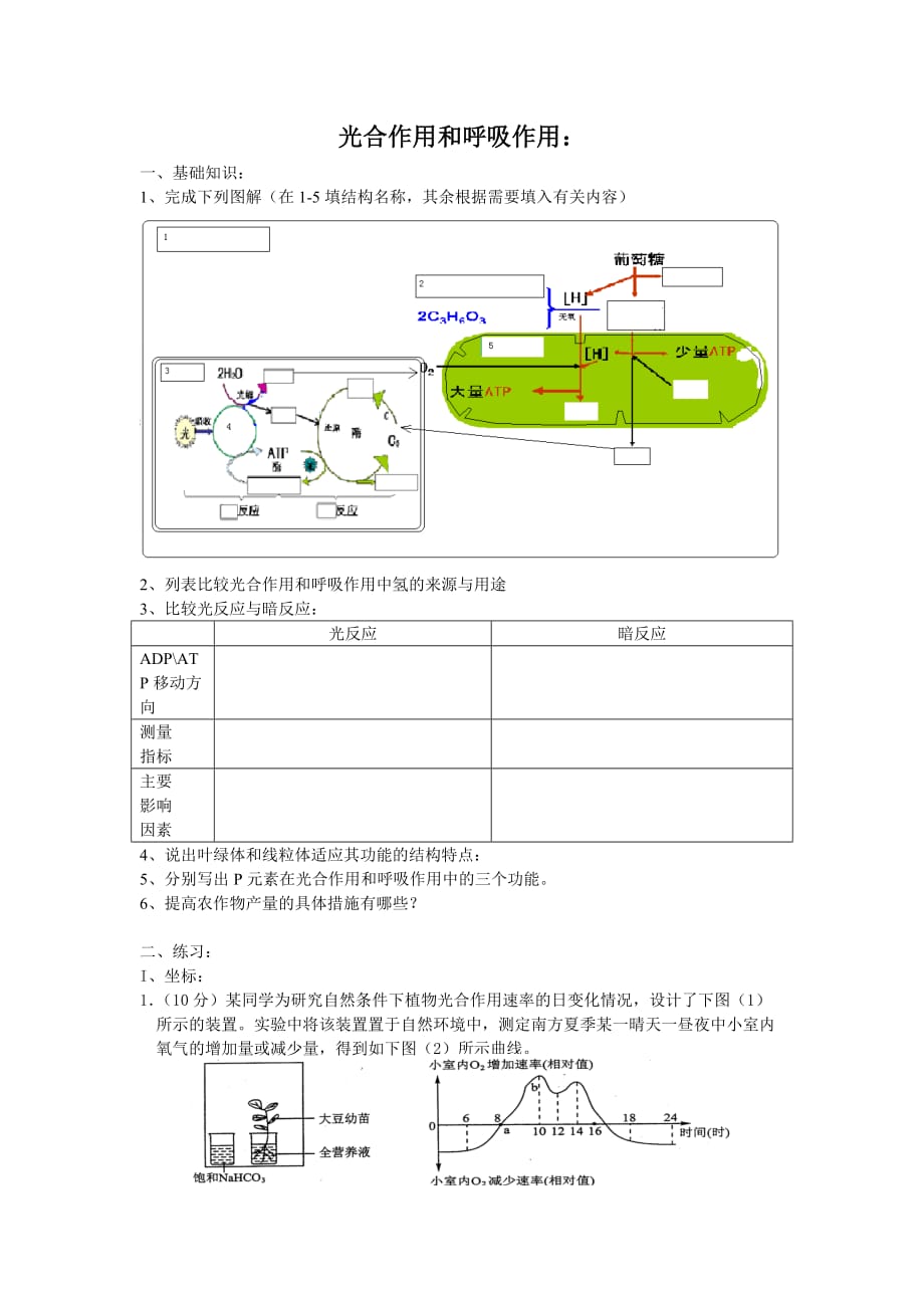 光和作用高中生物题_第1页