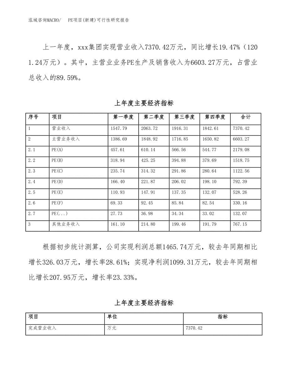 PE项目(新建)可行性研究报告.docx_第5页