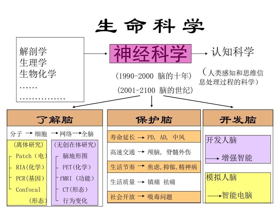 修改-神经生物学常用研究方法_第5页