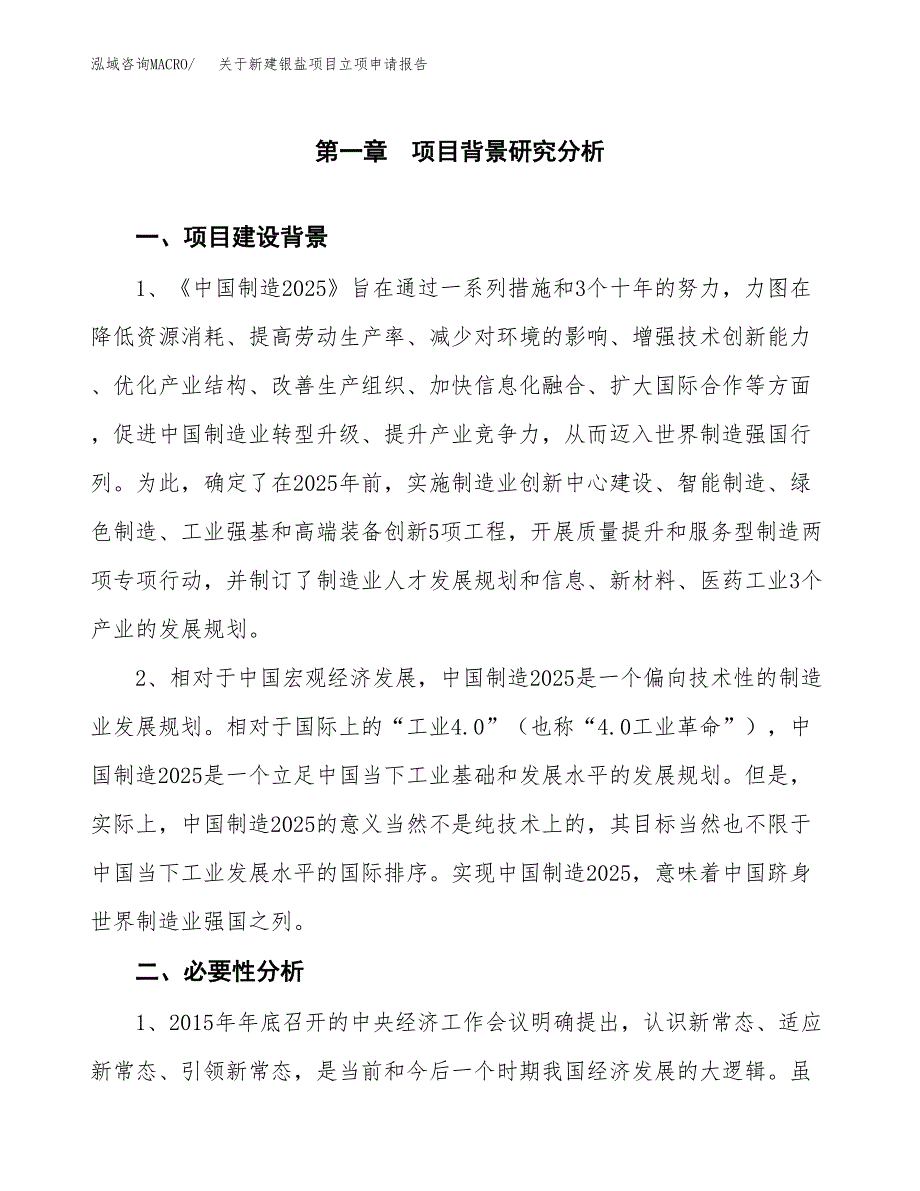 关于新建银盐项目立项申请报告模板.docx_第2页