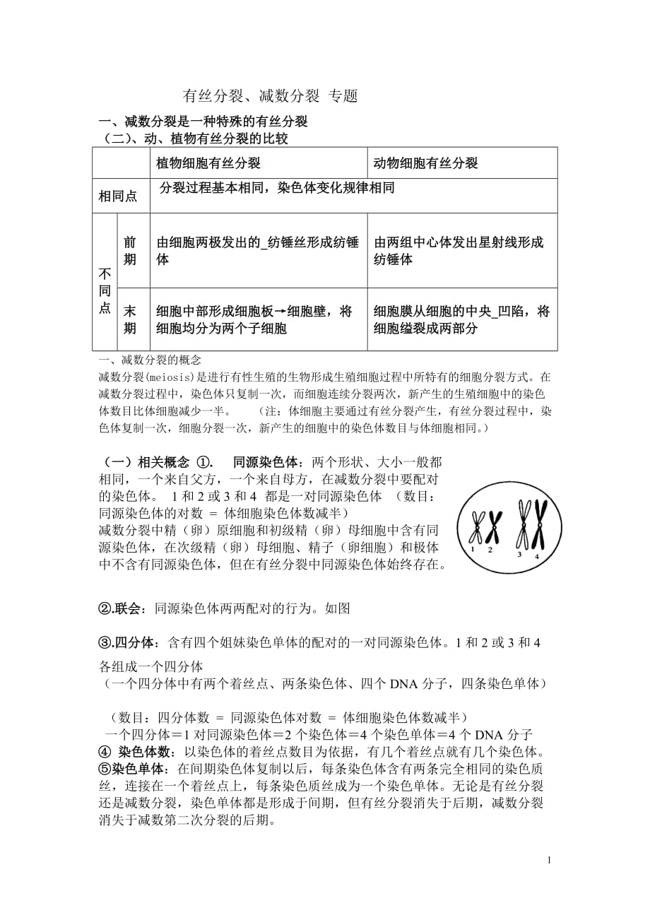 有丝分裂与减数分裂知识点整理高考专题总结完美版_第1页