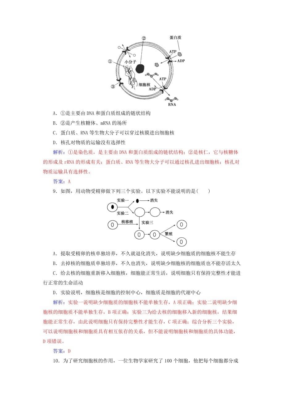 2017-2018年高中生物 第3章 细胞的基本结构 第3节 细胞核——系统的控制中心练习 新人教版必修1_第5页