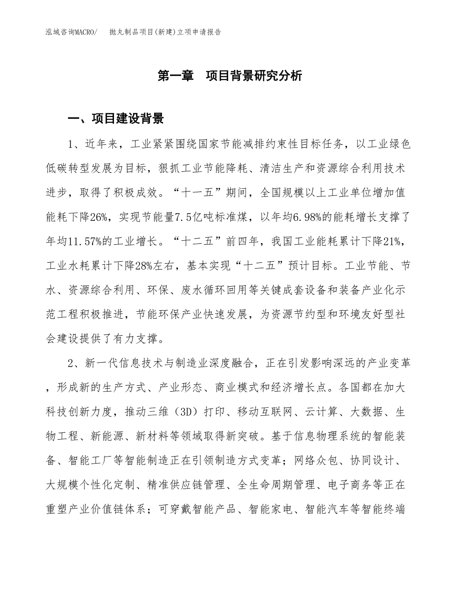 抛丸制品项目(新建)立项申请报告.docx_第2页