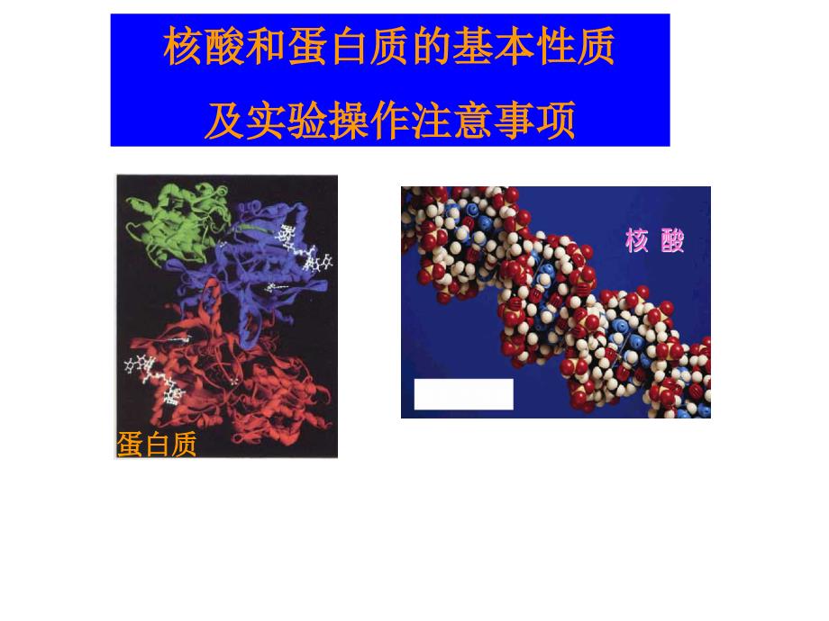 分子生物学实验技术-郭秋平_第2页