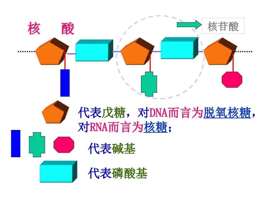 分子生物学实验技术-郭秋平_第5页