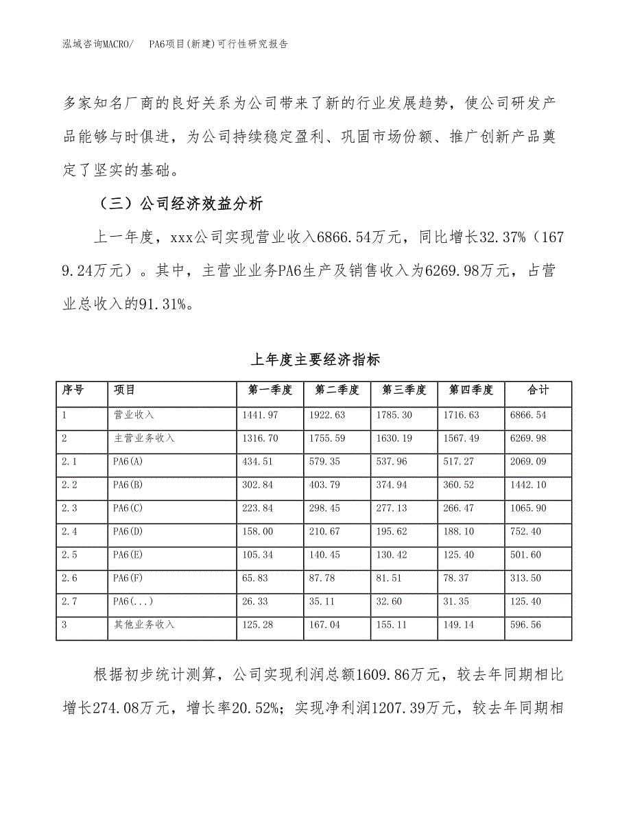 PA6项目(新建)可行性研究报告.docx_第5页