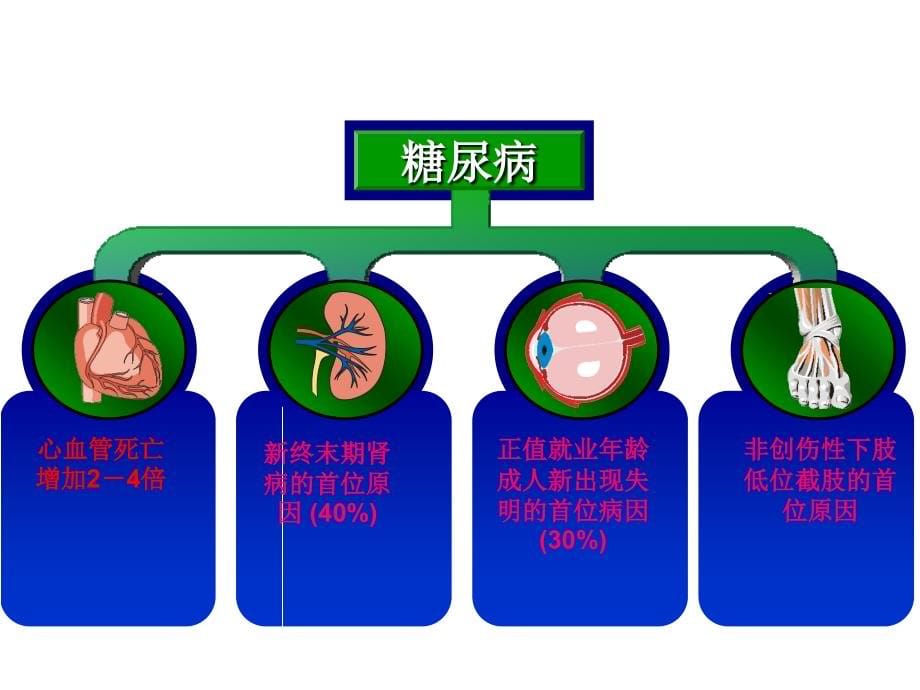 糖尿病诊疗新进展PPT课件_第5页