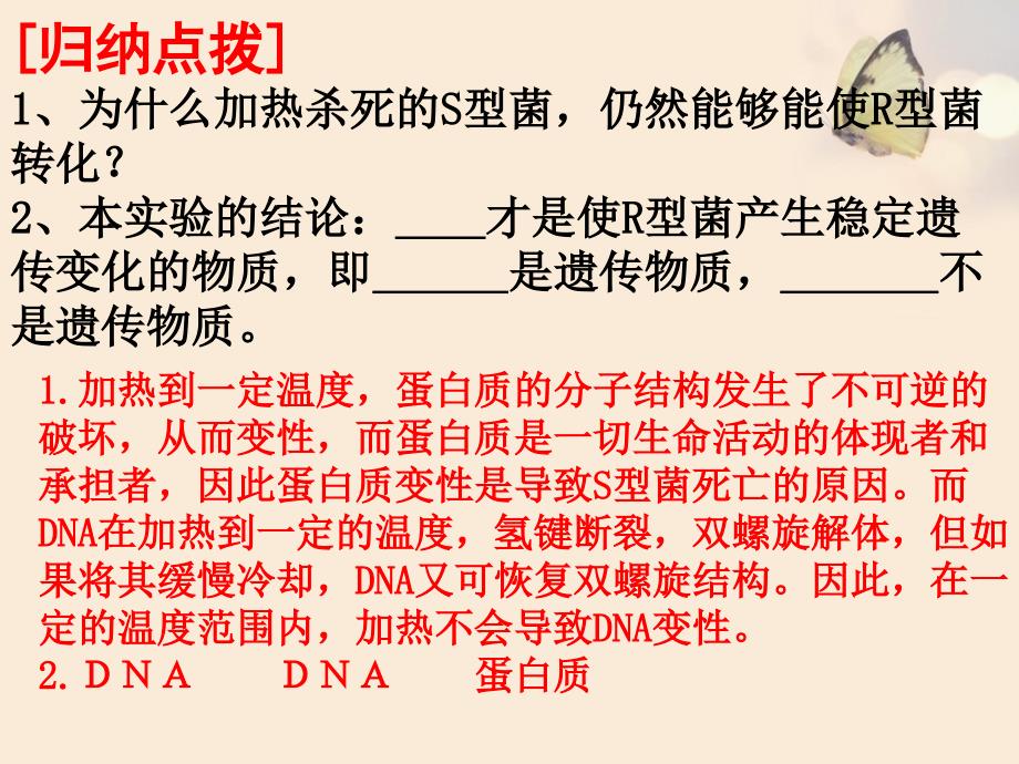 生物必修二第三章基因的本质复习_第2页