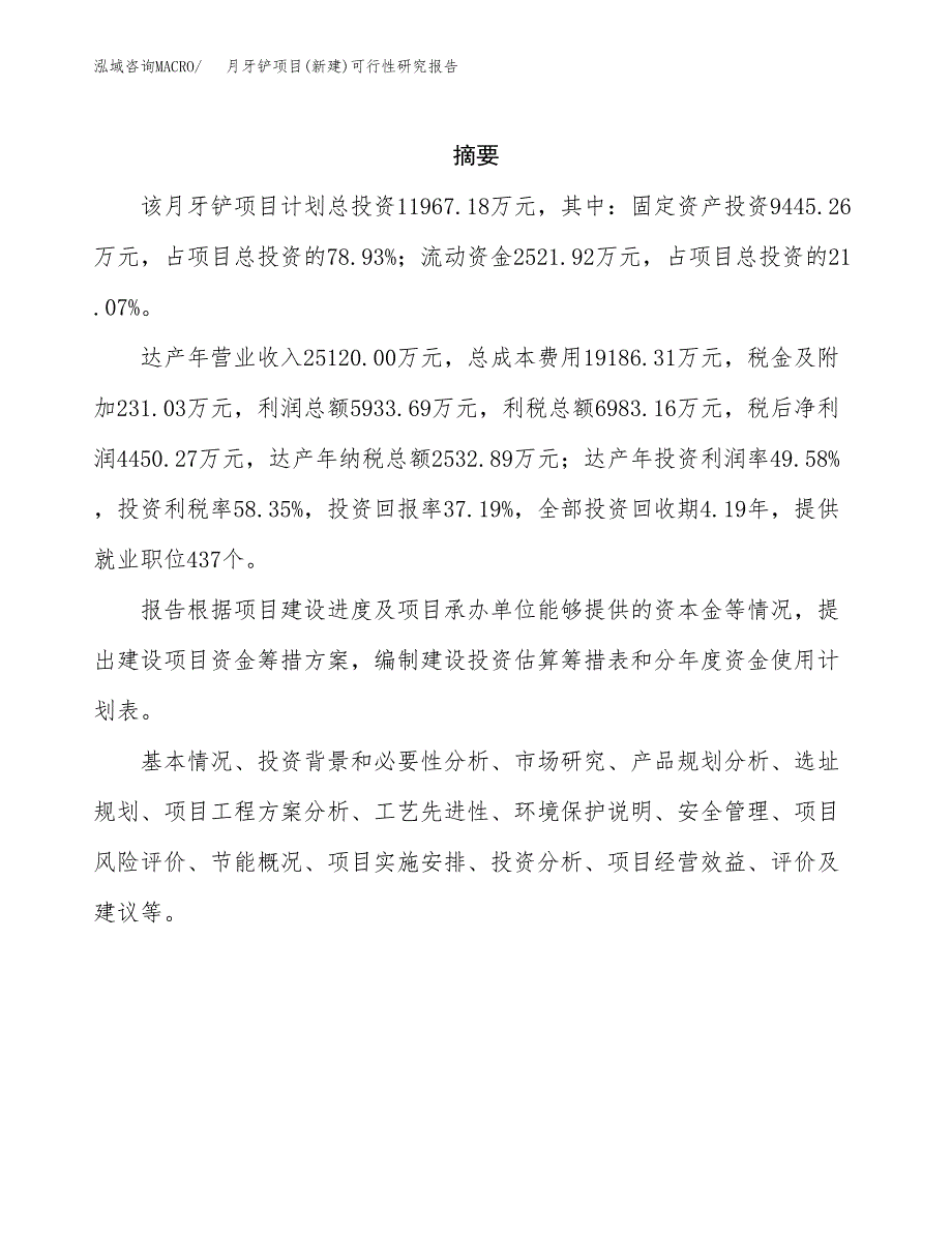 月牙铲项目(新建)可行性研究报告.docx_第2页