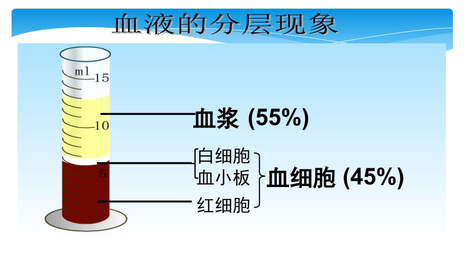 《血液循环》复习_第4页