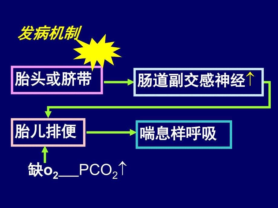 新生儿肺炎的护理作品PPT课件_第5页