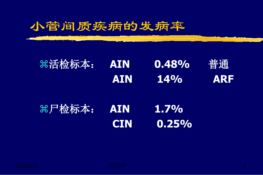 肾小管间质疾病PPT课件_第4页