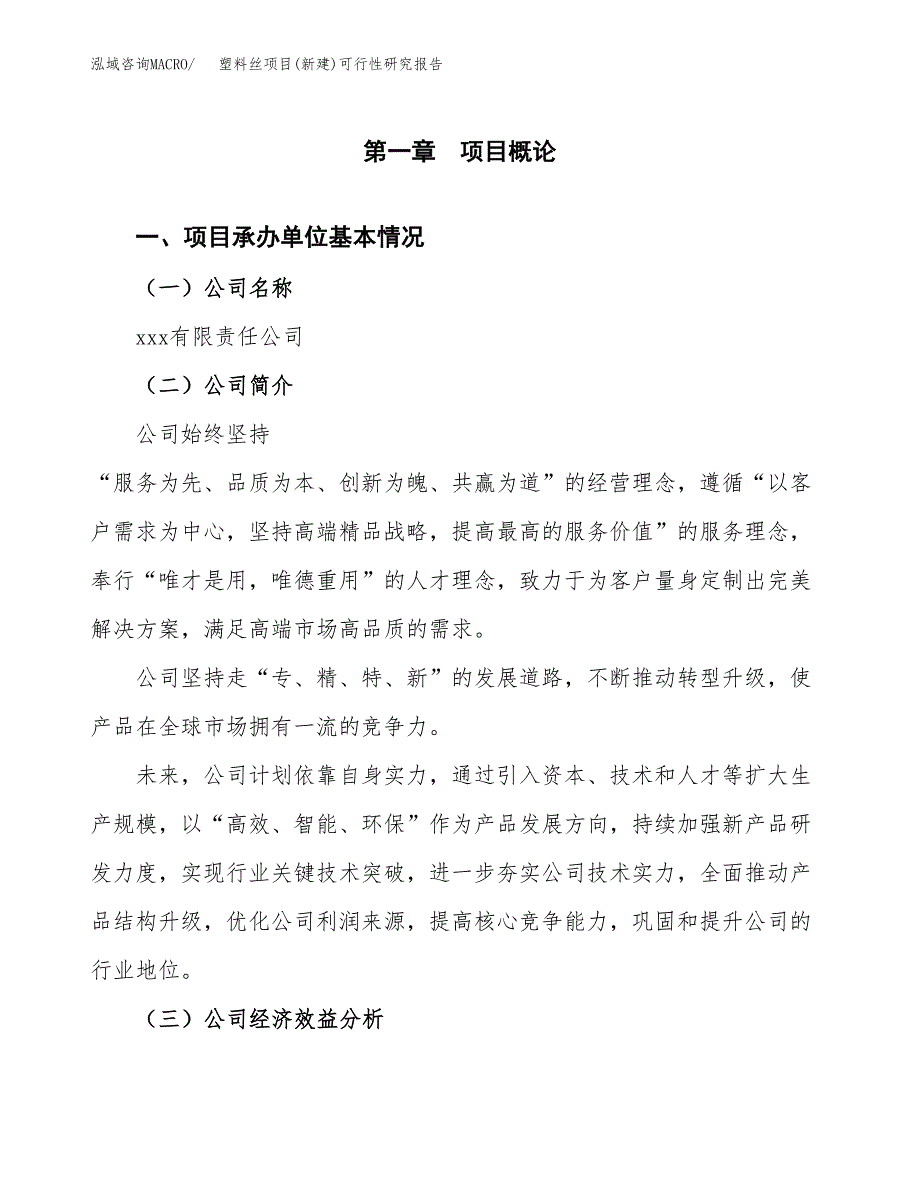 塑料丝项目(新建)可行性研究报告.docx_第4页