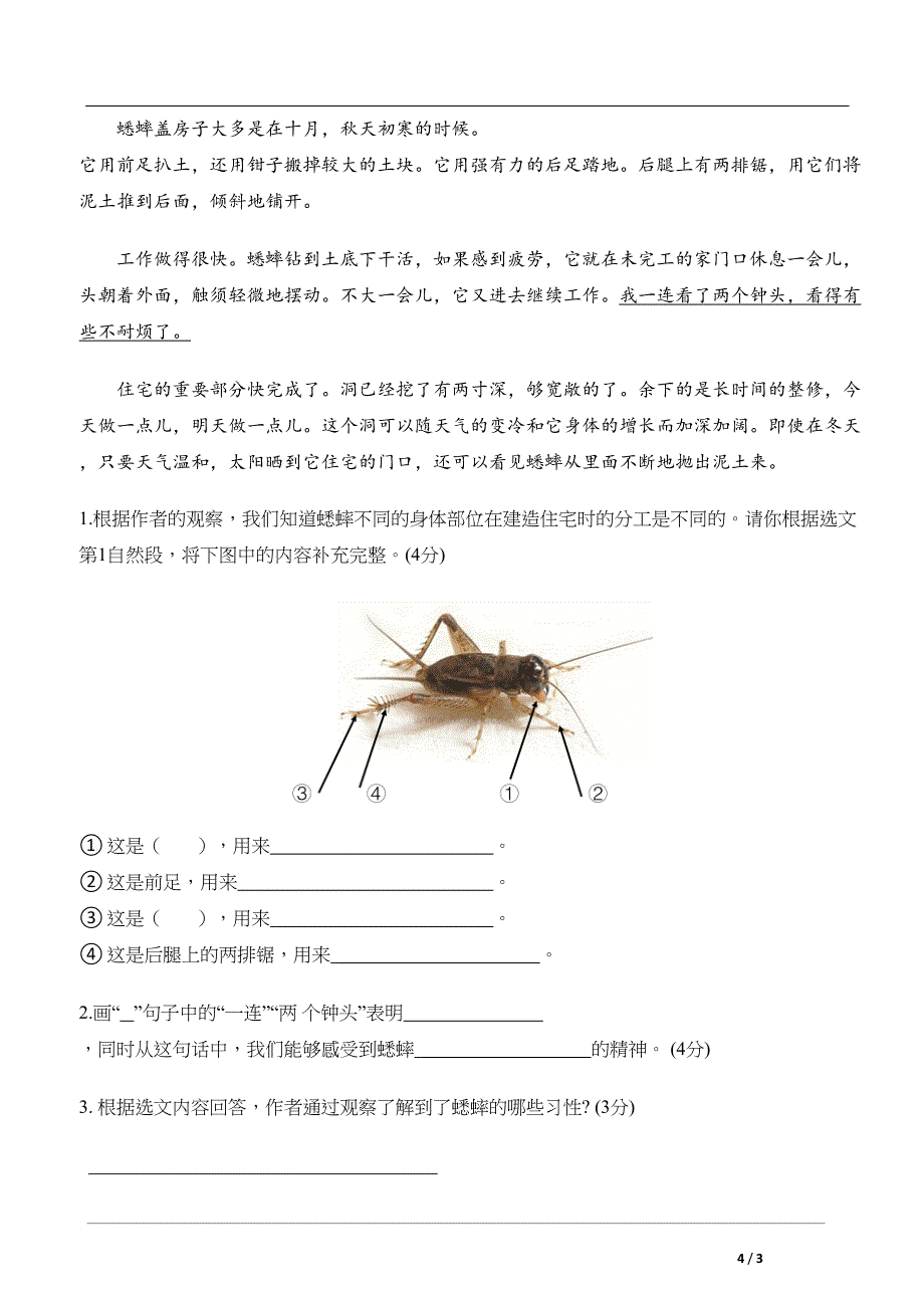 部编语文四上期中测试卷（五）（含答案）_第4页