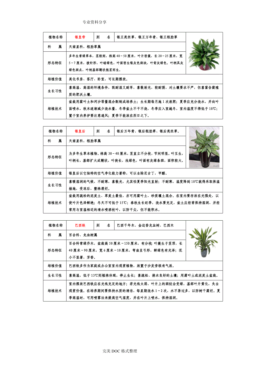 50种常见室内盆栽绿化植物介绍[带图片]_第1页