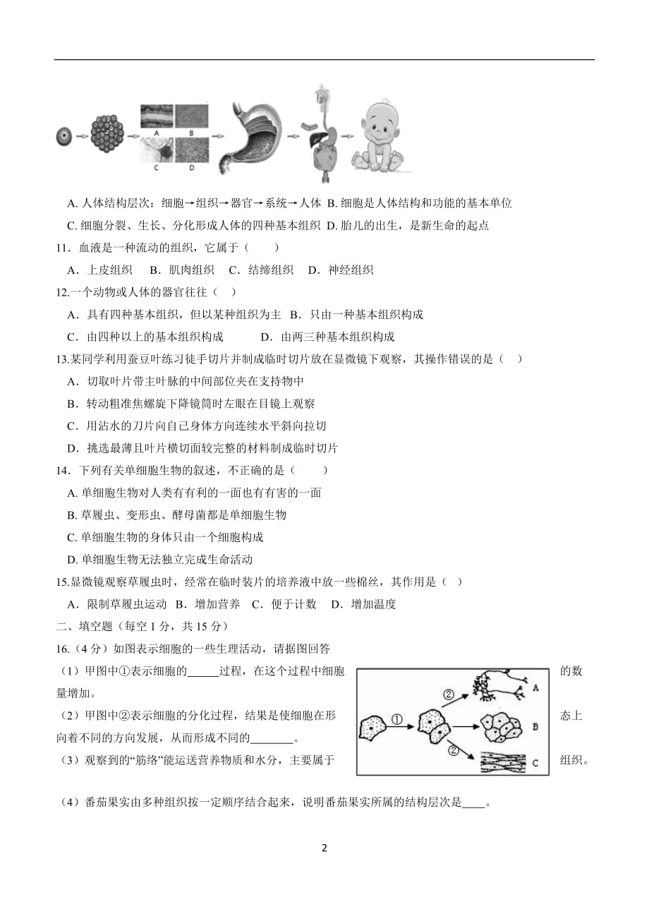 江苏省灌南县六塘中学苏科版七年级生物下册 第9章 生物体有相似的结构层次 单元.doc_第2页