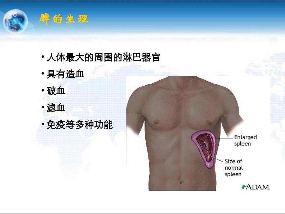 脾脏疾病影像学检查和诊断_第3页