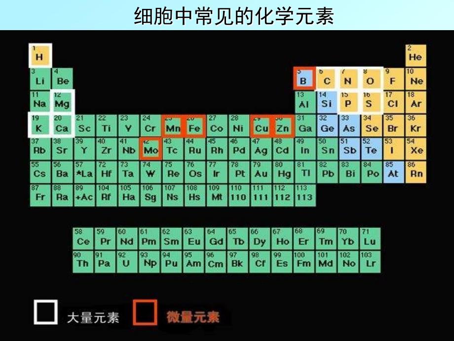 新课标必修一2012年高考生物专题复习课件 细胞中的元素和化合物PPT课件_第3页