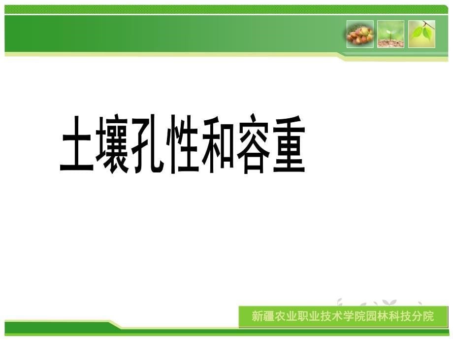 土壤肥料环境对枣树产量、品质影响_第5页