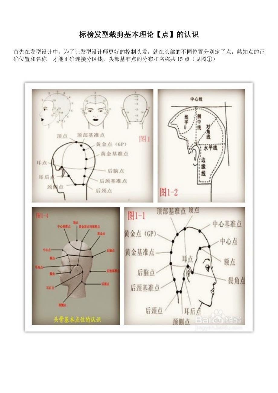 标榜发型裁剪基本理论资料_第2页