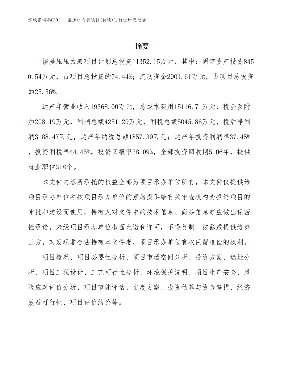 差压压力表项目(新建)可行性研究报告.docx_第2页