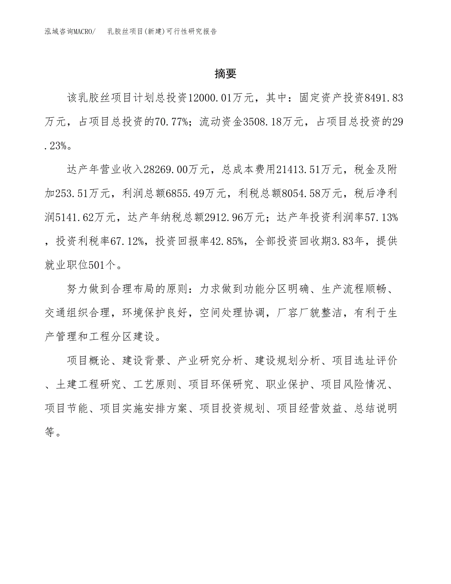 乳胶丝项目(新建)可行性研究报告.docx_第2页