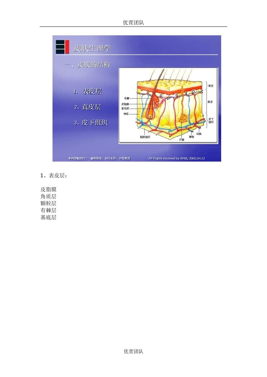 最全的皮肤生理学知识讲义资料_第5页