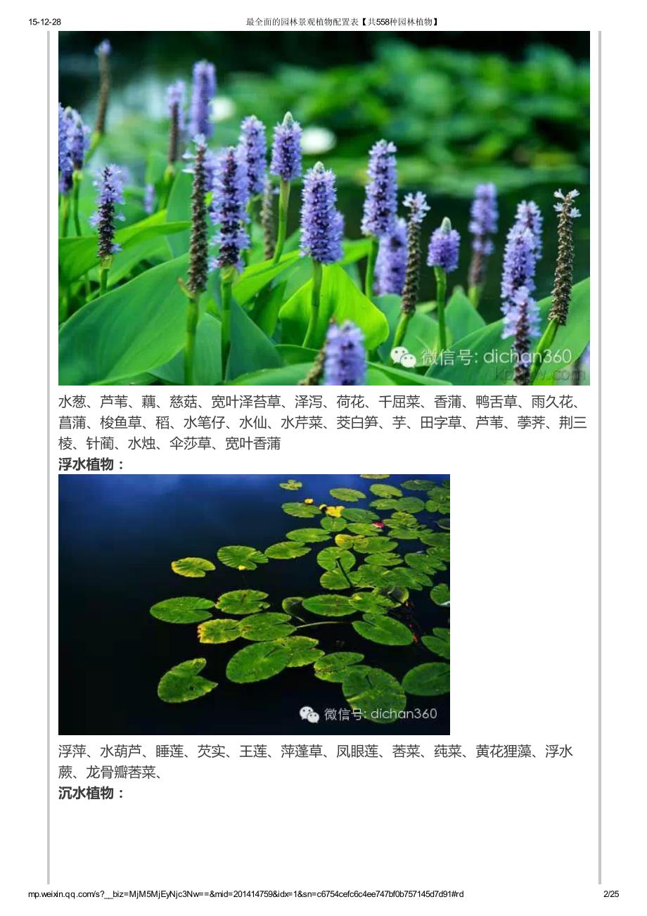 最全面园林景观植物配置表【共558种园林植物】_第2页