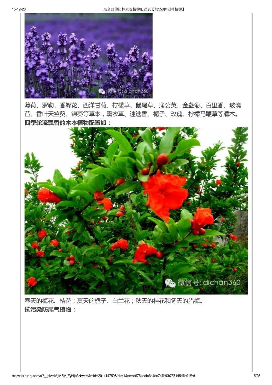 最全面园林景观植物配置表【共558种园林植物】_第5页