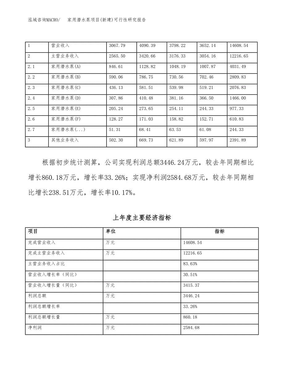 家用潜水泵项目(新建)可行性研究报告.docx_第5页