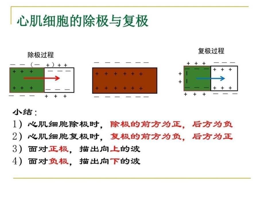 心电图课技能培训PPT课件_第5页