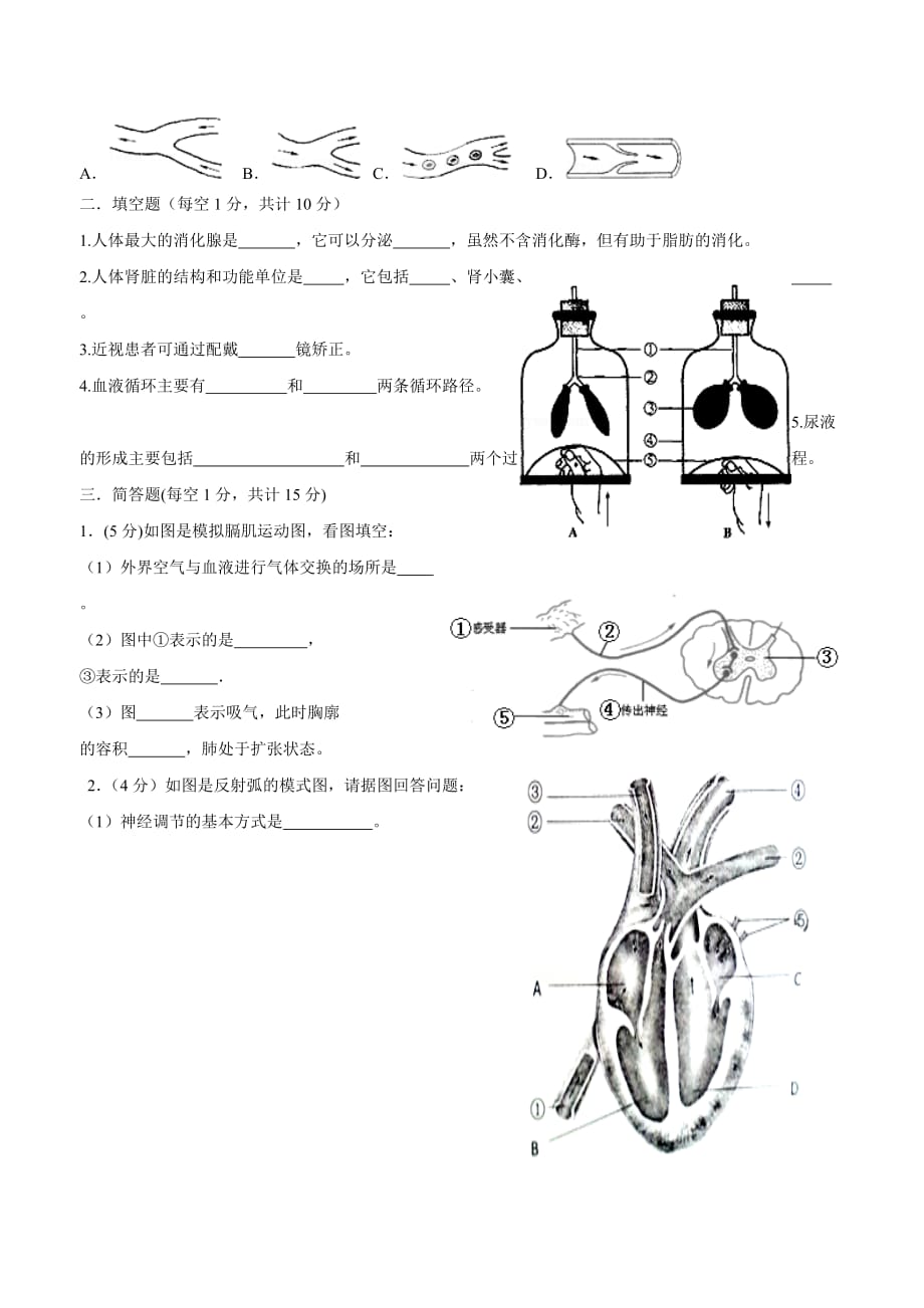 甘肃省民勤县第六中学16—17学学年下学期七学年级期末考试生物试题（附答案）.doc_第3页