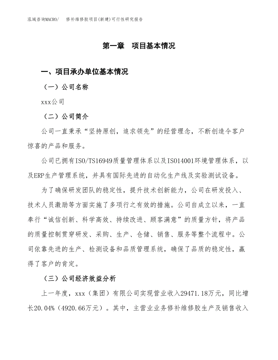 修补维修胶项目(新建)可行性研究报告.docx_第4页