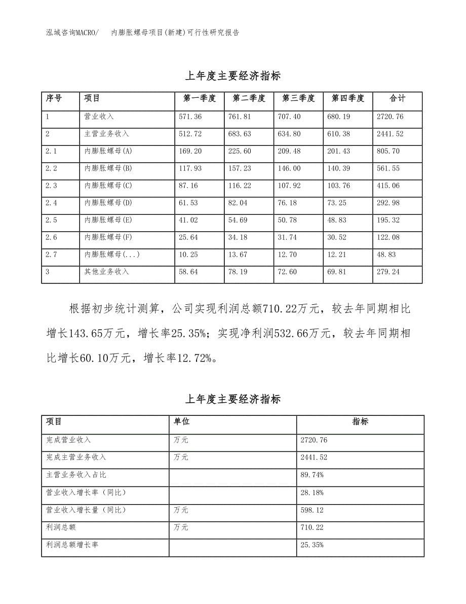 内膨胀螺母项目(新建)可行性研究报告.docx_第5页