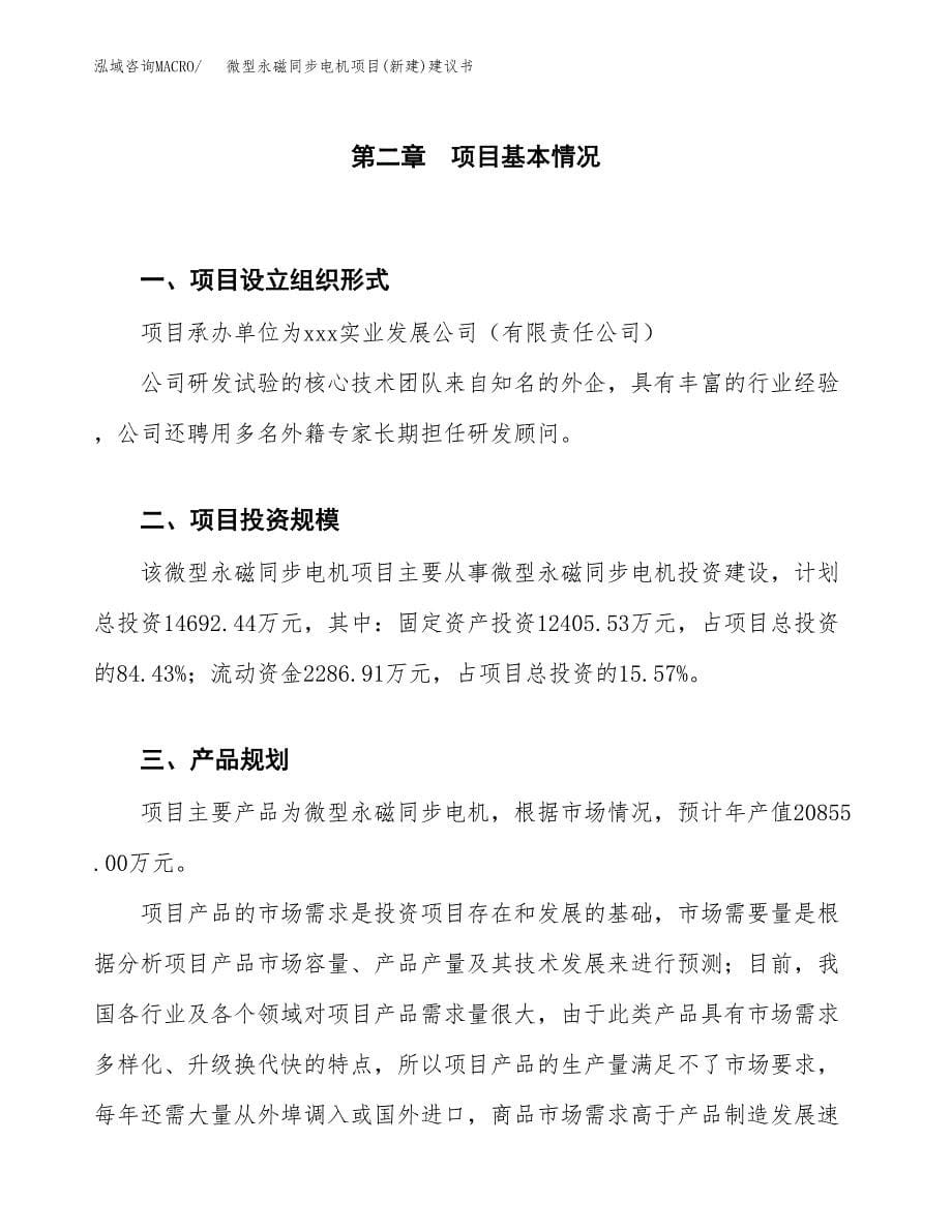 微型永磁同步电机项目(新建)建议书.docx_第5页