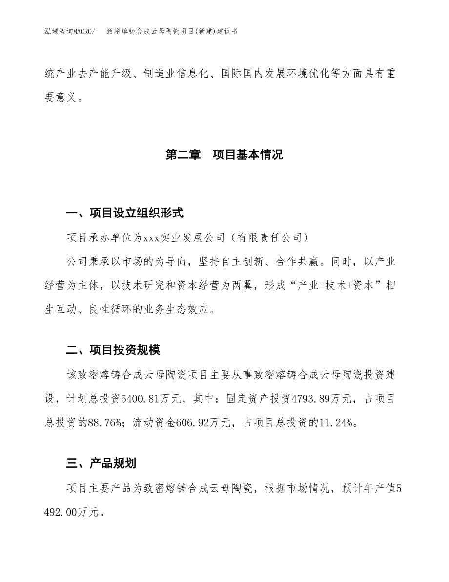 致密熔铸合成云母陶瓷项目(新建)建议书.docx_第5页