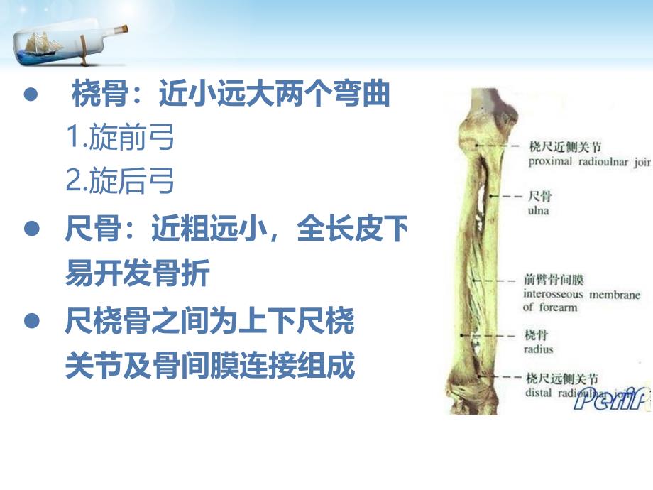 尺桡骨骨折PPT资料_第4页