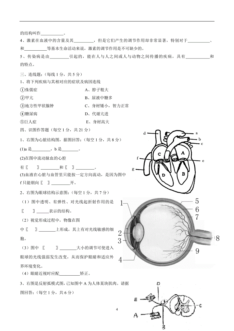 安徽省砀山县17—18学学年七学年级期末考试生物试题（附答案）.doc_第4页