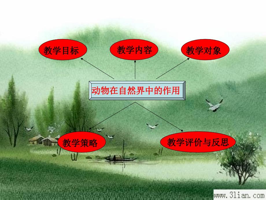 动物在自然界中的作用说课PPT课件_第2页