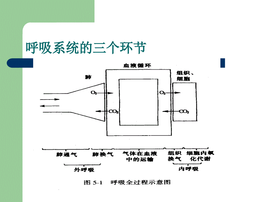 氧气吸入法ppt课件89818资料_第2页