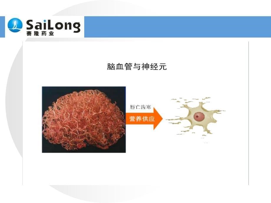 脑蛋白水解物资料_第5页