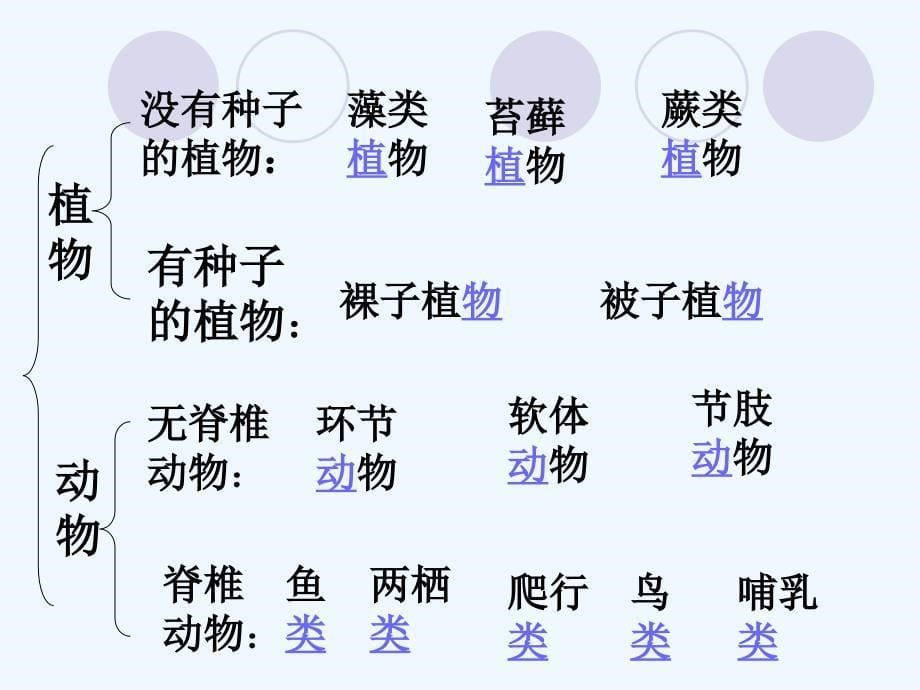 生物人教版初二上册课件 尝试对生物进行分类_第5页