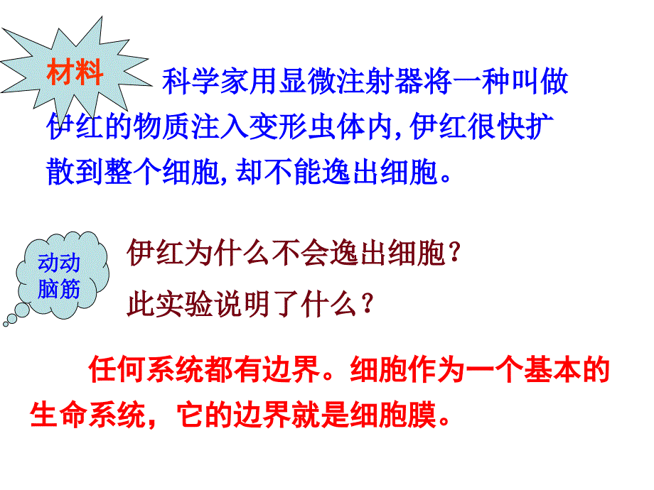 细胞膜的成分.结构和功能好资料_第1页