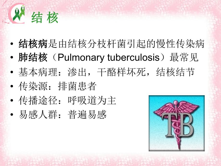 第十节-肺结核病人的护理_第2页