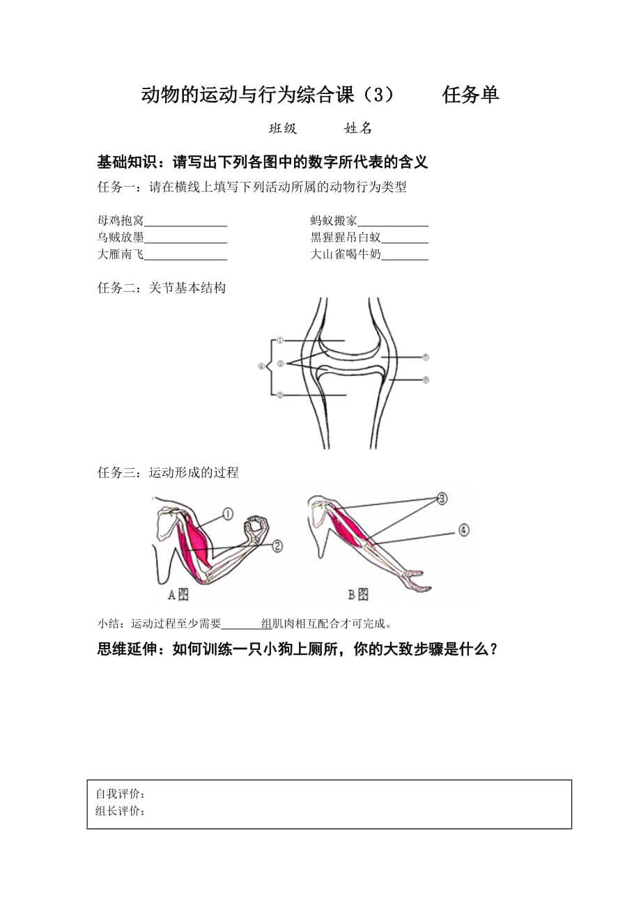 生物人教版初二上册课堂任务单_第1页