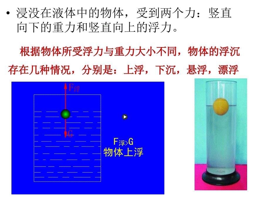 第三节物体浮沉条件及应用_第5页