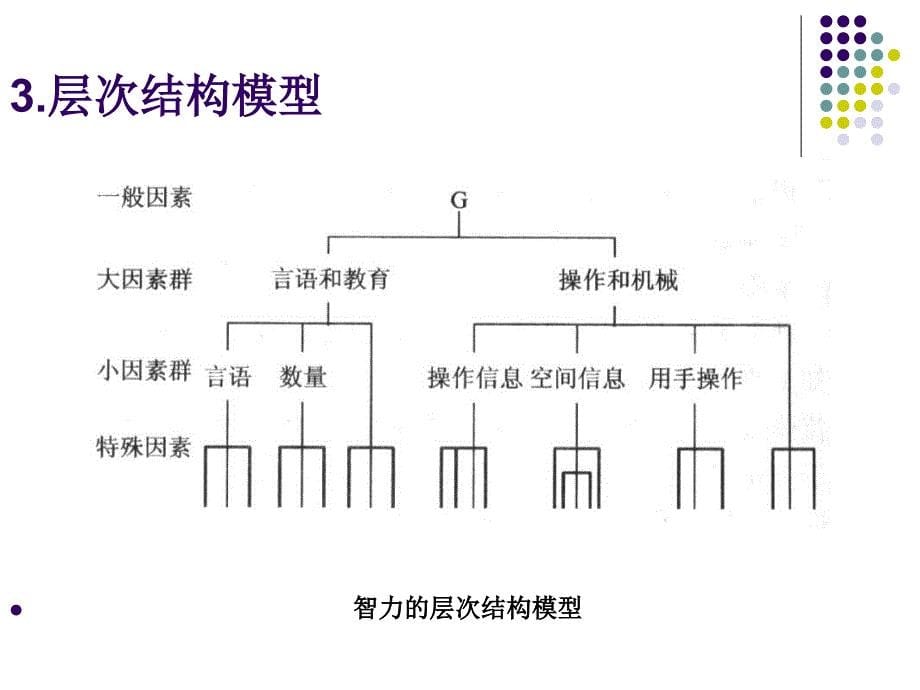 小学儿童心理学第六章小学儿童的智力与学习_第5页