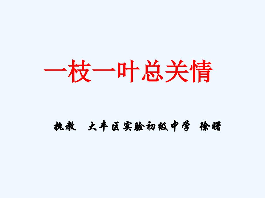 语文苏教版九年级下册一枝一叶总关情_第3页