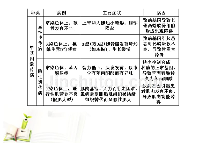 高三生物基础复习-第五单元关于人类遗传病-新人教版必修2_第5页