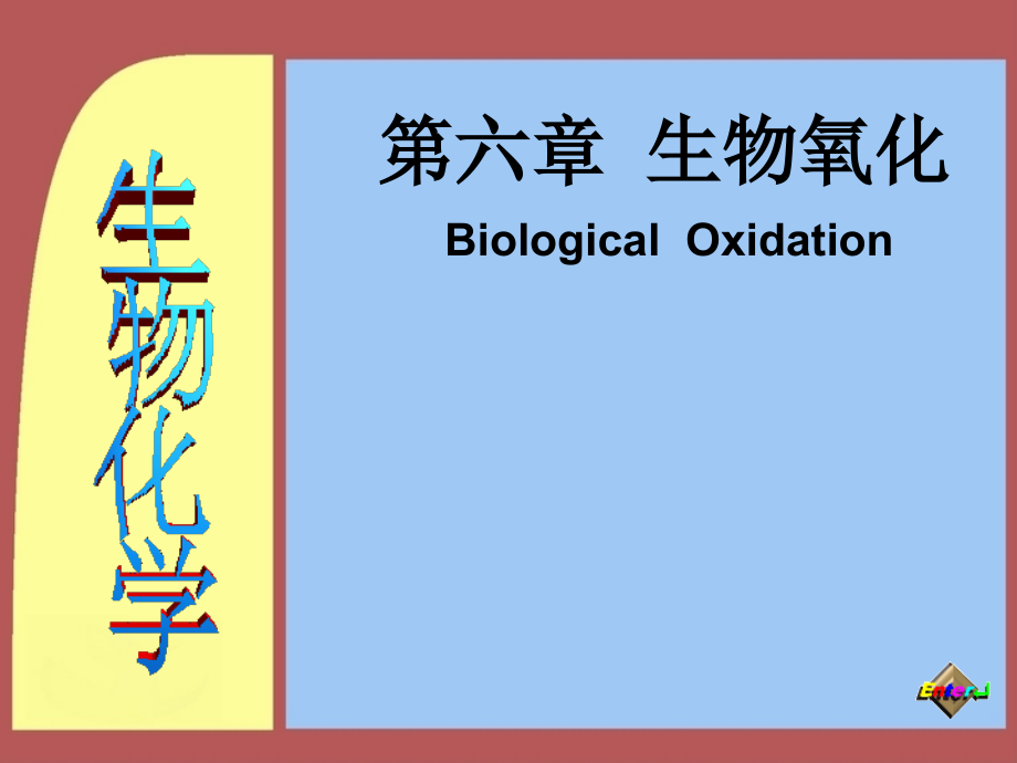 生化生物氧化资料_第1页